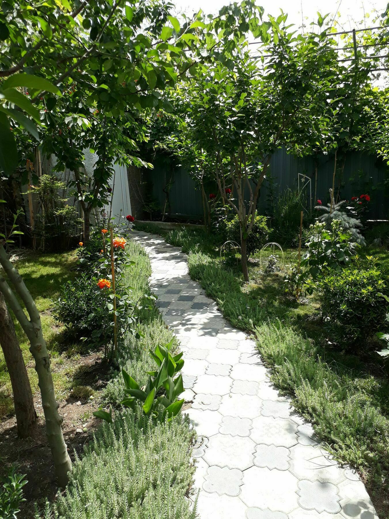 Hotel My Garden Tbilisi Exterior foto